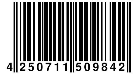 4 250711 509842