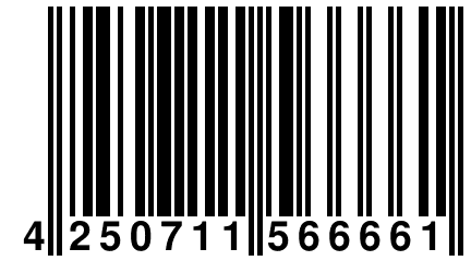 4 250711 566661