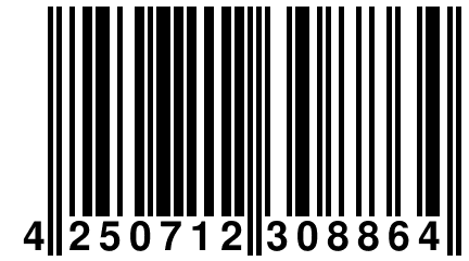 4 250712 308864