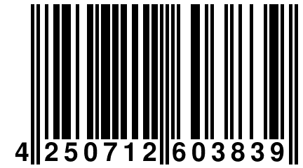 4 250712 603839