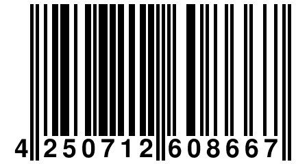 4 250712 608667