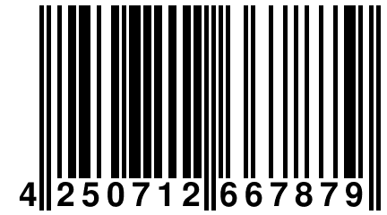 4 250712 667879