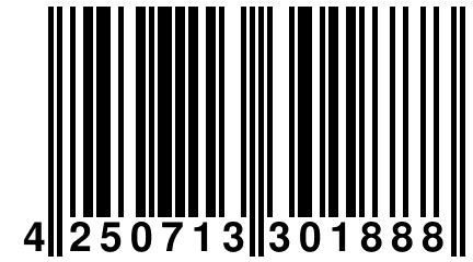 4 250713 301888