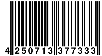 4 250713 377333