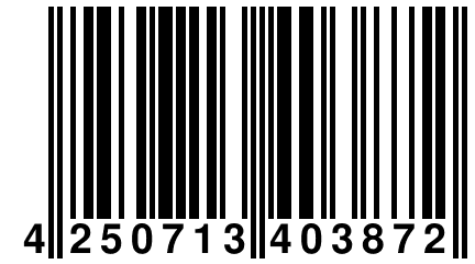 4 250713 403872