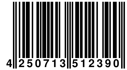 4 250713 512390