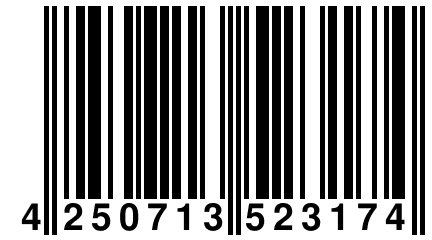 4 250713 523174