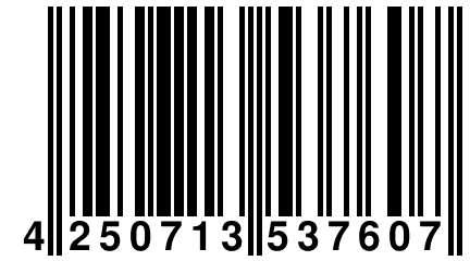 4 250713 537607