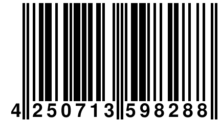 4 250713 598288