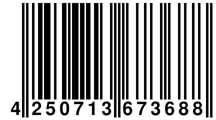 4 250713 673688