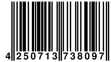 4 250713 738097