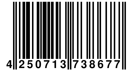 4 250713 738677