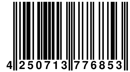 4 250713 776853