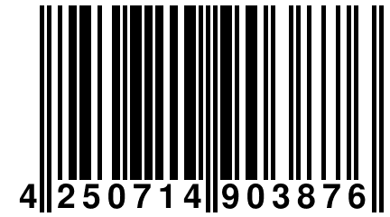 4 250714 903876