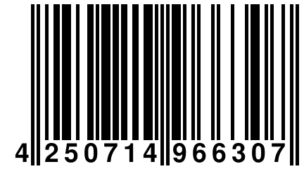 4 250714 966307