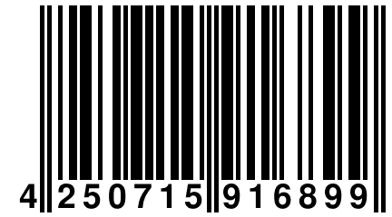 4 250715 916899