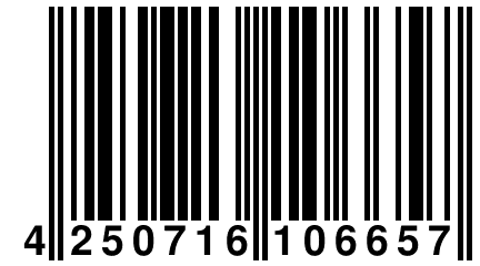 4 250716 106657