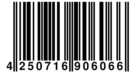 4 250716 906066