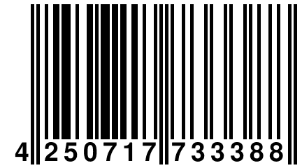 4 250717 733388