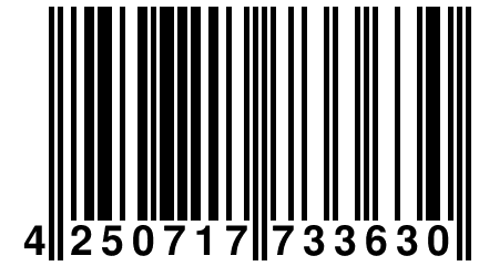 4 250717 733630