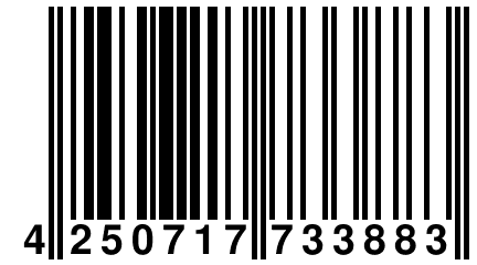 4 250717 733883