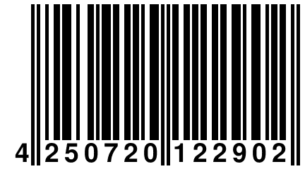 4 250720 122902