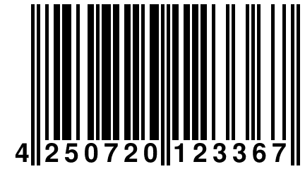 4 250720 123367