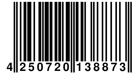 4 250720 138873