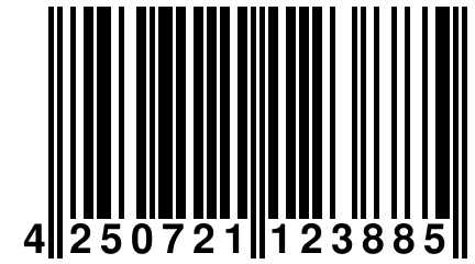 4 250721 123885