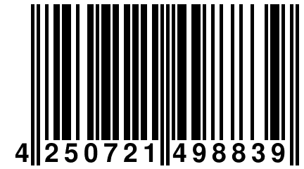 4 250721 498839