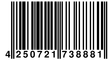 4 250721 738881