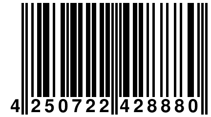 4 250722 428880