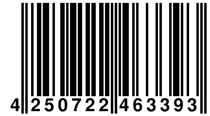 4 250722 463393