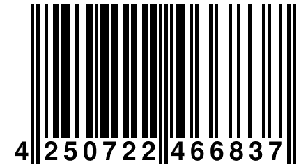 4 250722 466837