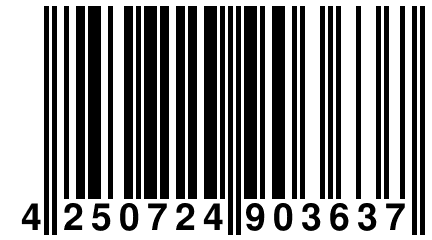 4 250724 903637