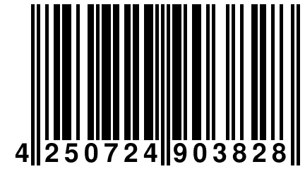 4 250724 903828