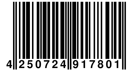 4 250724 917801