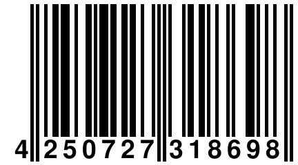 4 250727 318698