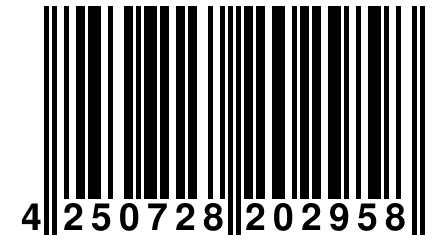 4 250728 202958