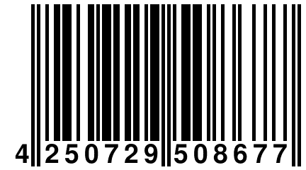 4 250729 508677