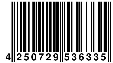 4 250729 536335