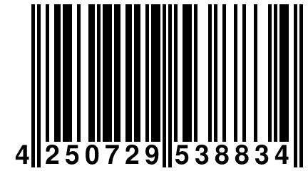 4 250729 538834