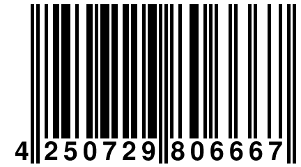 4 250729 806667