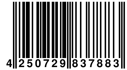 4 250729 837883