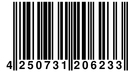 4 250731 206233