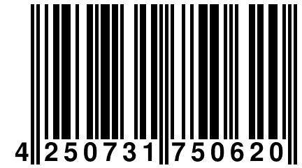 4 250731 750620