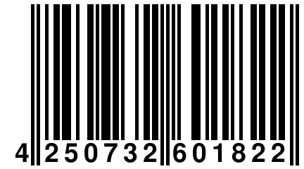 4 250732 601822