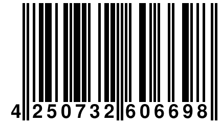 4 250732 606698