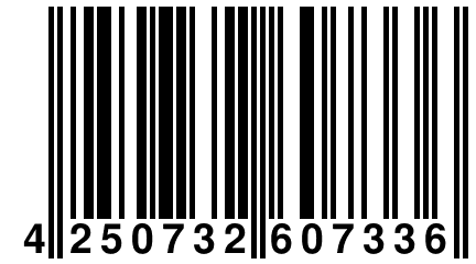 4 250732 607336