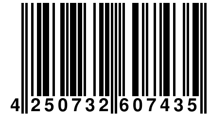 4 250732 607435